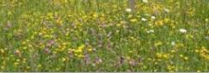 Offres de vente Terrain agricole Arzacq-Arraziguet (64410)