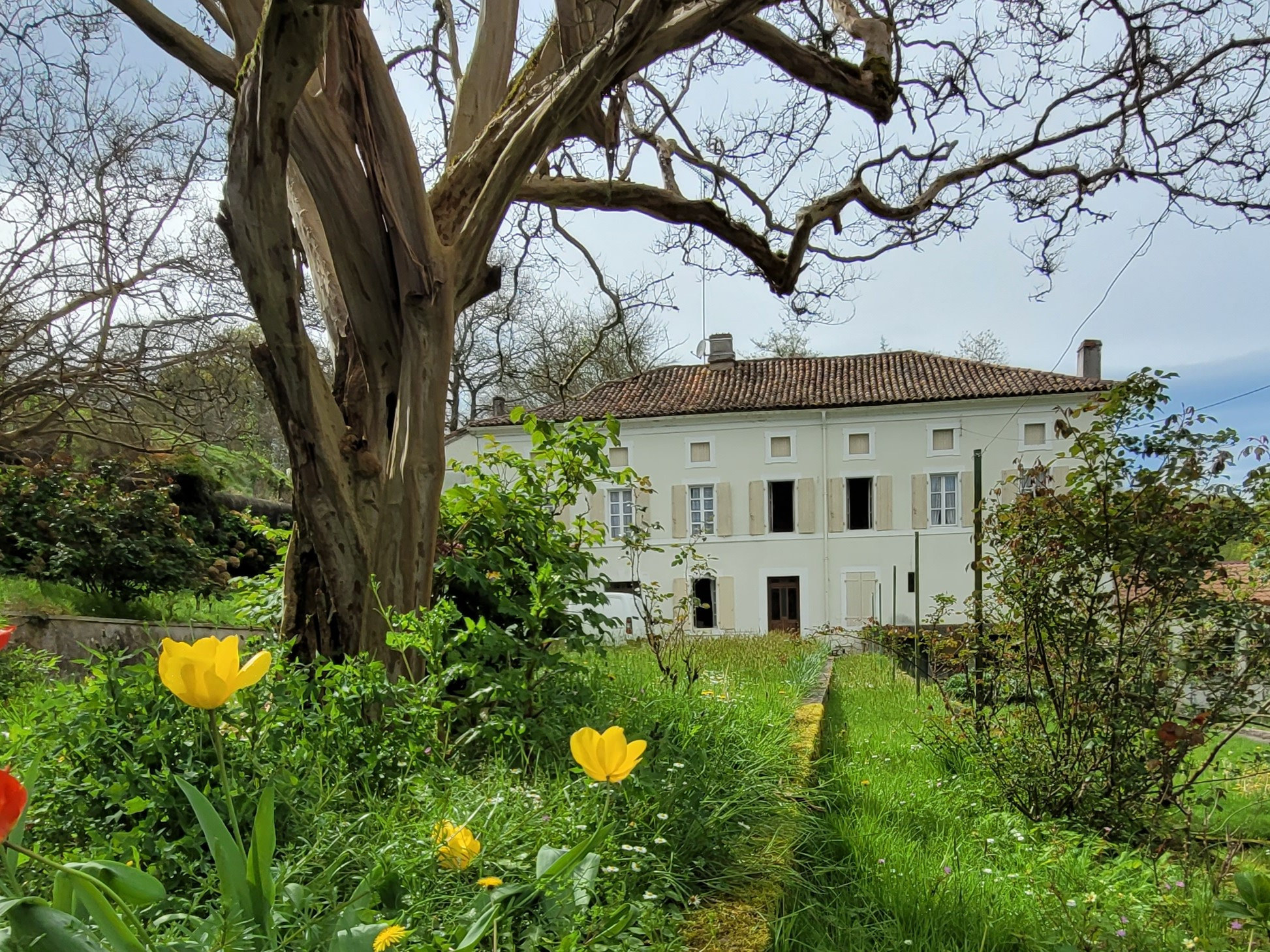 Agence immobilière de Agences des Bastides
